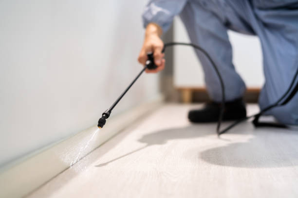 Licensed Mosquito Control service in Sand Lake, MI - Show Me Pest Control