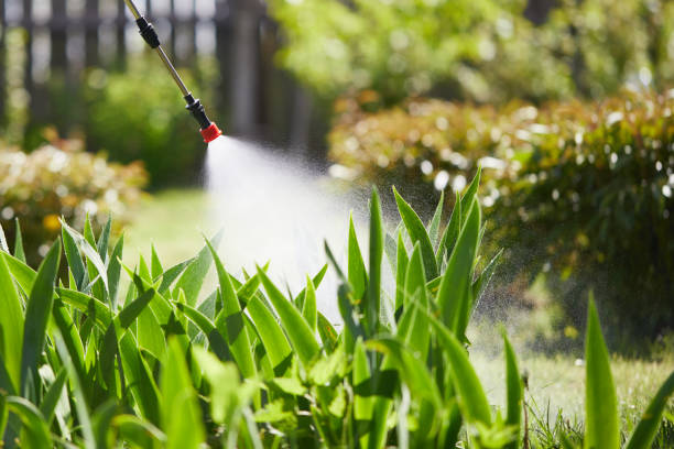 24/7 Emergency Mosquito Control experts in Sand Lake, MI
