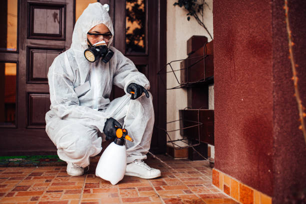 Reliable Mosquito Control contractor in Sand Lake, MI by Show Me Pest Control
