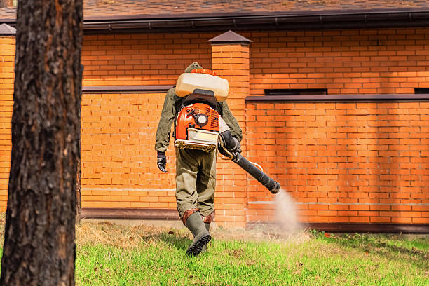 Top rated local Mosquito Control specialists in Sand Lake, MI